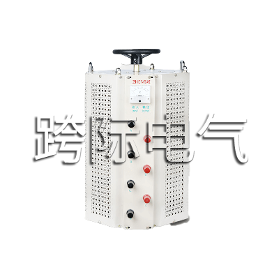 TDGC2J、TSGC2J系列調(diào)壓接觸器
